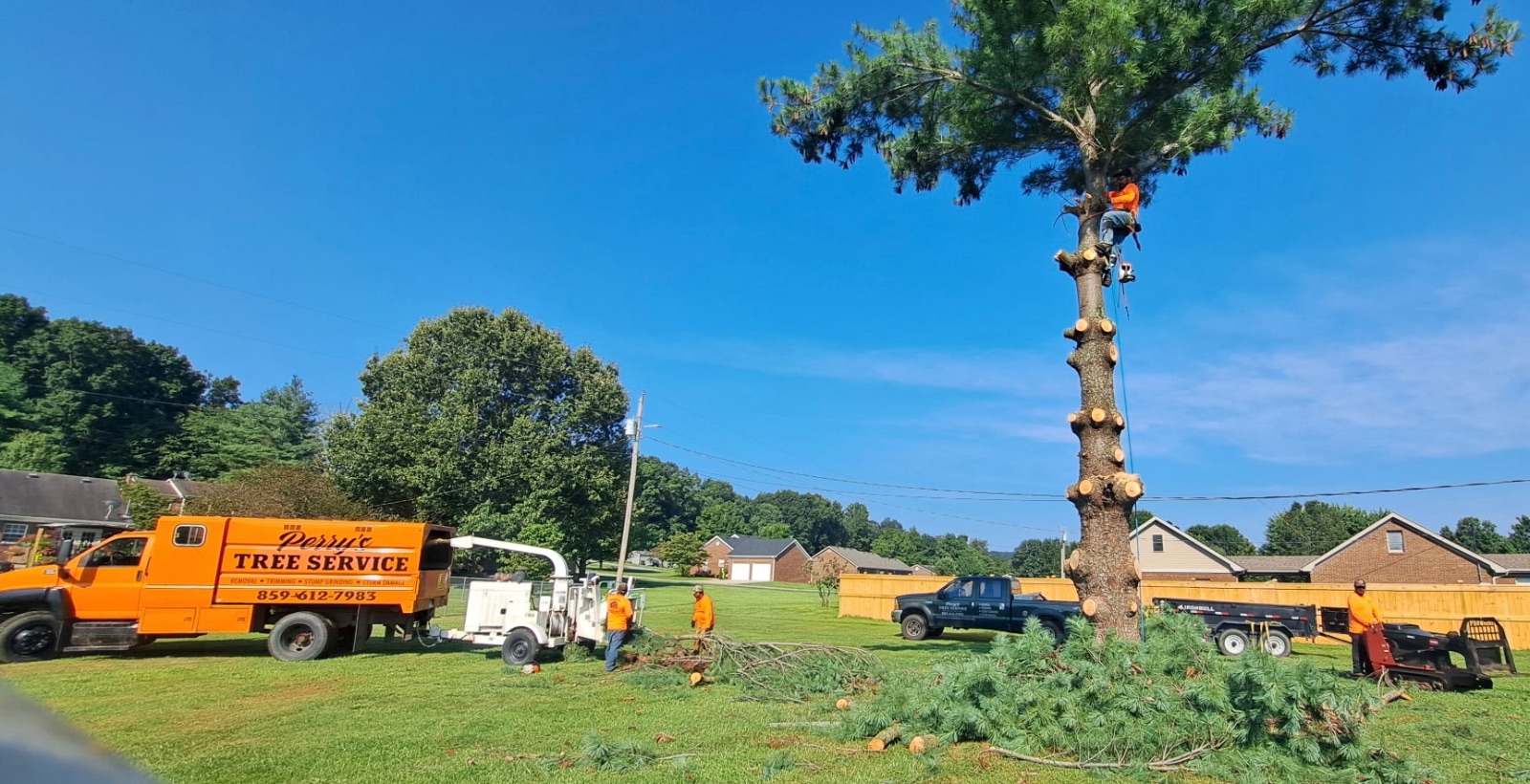 Perry’s Tree Service takes great pride in your property.  We treat your property just as we would our own.  Here you can see limbs being ground up as they fall which makes for a safer workspace.  Also, notice the stump grinder is ready to go immediately after the tree is down.
