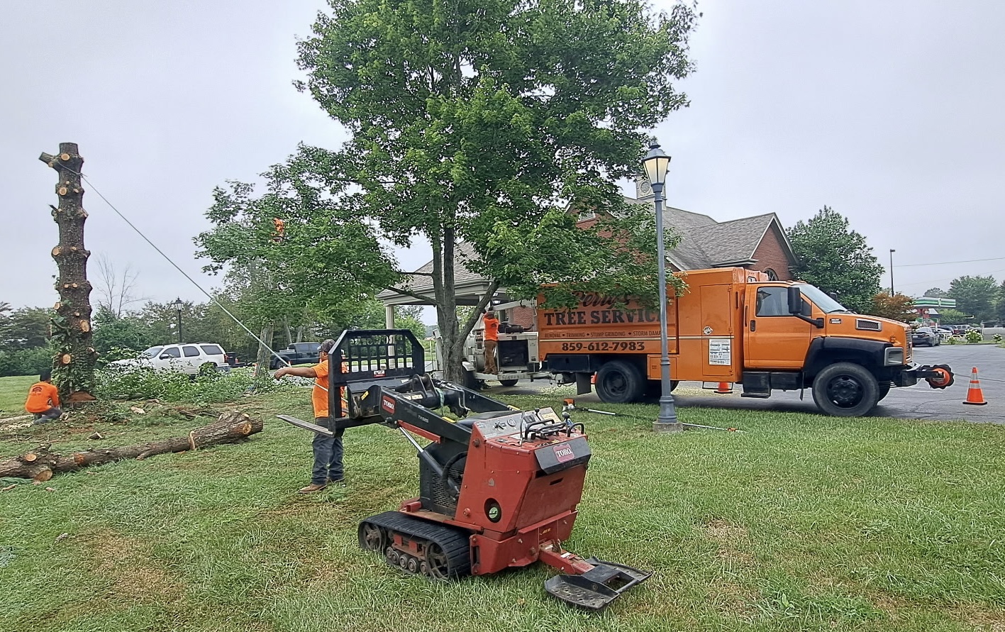 Perry’s Tree Service located in Harrodsburg, Ky is a fully insured Tree service serving a 50 mile radius of Mercer County, Ky